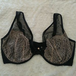 Cacique 40H plunge bra